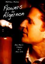 Flowers for Algernon Box Art