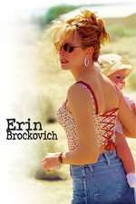 Erin Brockovich Box Art