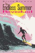 The Endless Summer Revisited Box Art