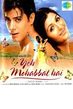 Yeh Mohabbat Hai Box Art