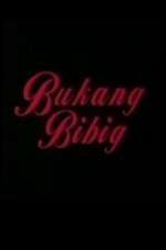 Bukang Bibig Box Art