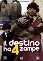 Il destino ha 4 zampe Box Art