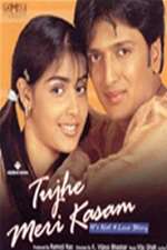 Tujhe Meri Kasam Box Art