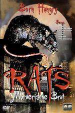 Rats Box Art