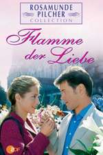 Rosamunde Pilcher: Flamme der Liebe Box Art