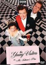 The Young Visiters Box Art