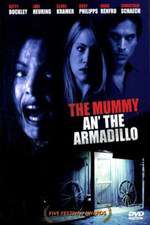 Mummy An' the Armadillo Box Art