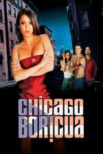 Chicago Boricua Box Art