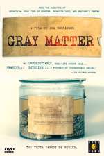 Gray Matter Box Art