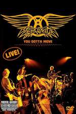 Aerosmith - You Gotta Move Box Art