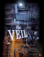 The Veil Box Art