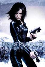 Underworld: Evolution Box Art