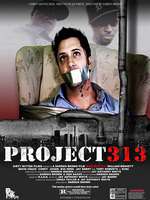 Project 313 Box Art