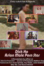 Dick Ho: Asian Male Porn Star Box Art