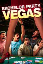 Bachelor Party Vegas Box Art