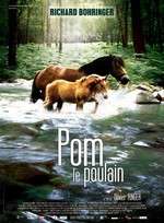 Pom, le poulain Box Art