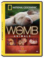 In The Womb: Animals Box Art