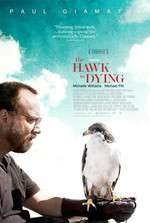 The Hawk Is Dying Box Art