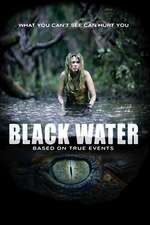 Black Water Box Art