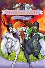 Horseland: Taking the Heat Box Art