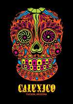 Calexico Next Exit Box Art