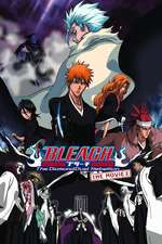 劇場版BLEACH The DiamondDust Rebellion もう一つの氷輪丸 Box Art