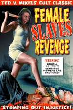 Female Slaves Revenge Box Art