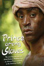 Prince Among Slaves Box Art