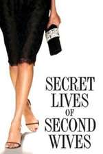 The Secret Lives of Second Wives Box Art