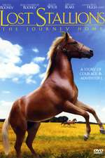 Lost Stallions: The Journey Home Box Art