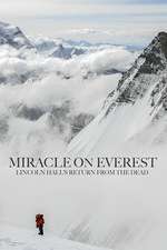 Miracle on Everest Box Art