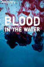 Blood in the Water Box Art