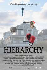 Hierarchy Box Art