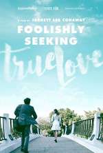 Foolishly Seeking True Love Box Art