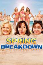 Spring Breakdown Box Art