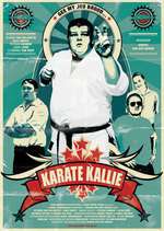 Karate Kallie Box Art