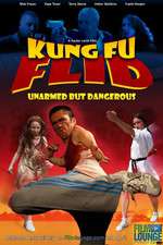 Kung Fu Flid Box Art