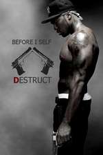 Before I Self Destruct Box Art