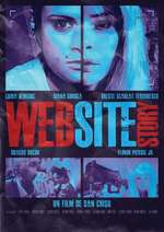 WebSiteStory Box Art