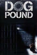 Dog Pound Box Art