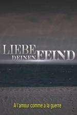 Liebe deinen Feind Box Art