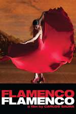 Flamenco Flamenco Box Art