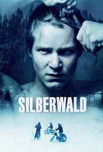 Silberwald Box Art