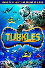 Turkles Box Art