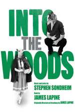 Into the Woods Box Art