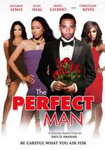 The Perfect Man Box Art