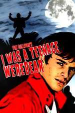 I Was a Teenage Werebear Box Art