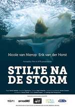 Stilte na de storm Box Art