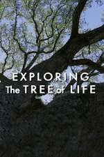 Exploring The Tree of Life Box Art