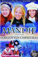 Mandie and the Forgotten Christmas Box Art